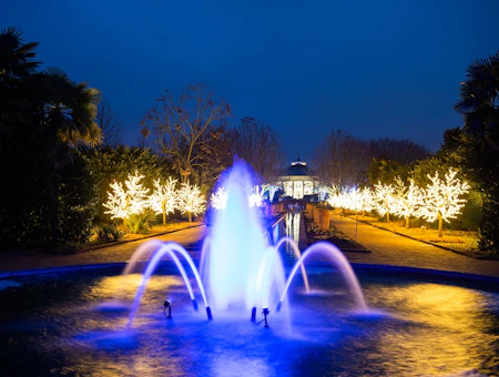 Holiday Light Displays Around Charlotte