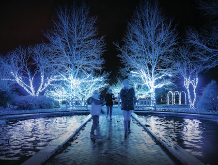 How to Host Friends and Family in Charlotte