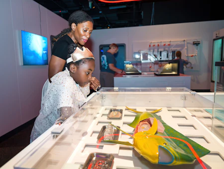 Embark on an Oceanic Exploration at Discovery Place Science