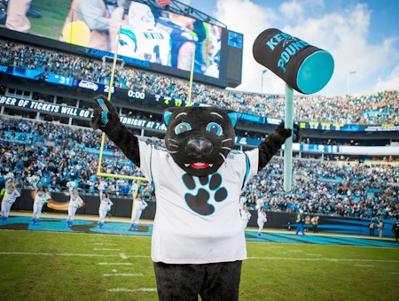 Charlotte Team Mascots: The Number One Fans