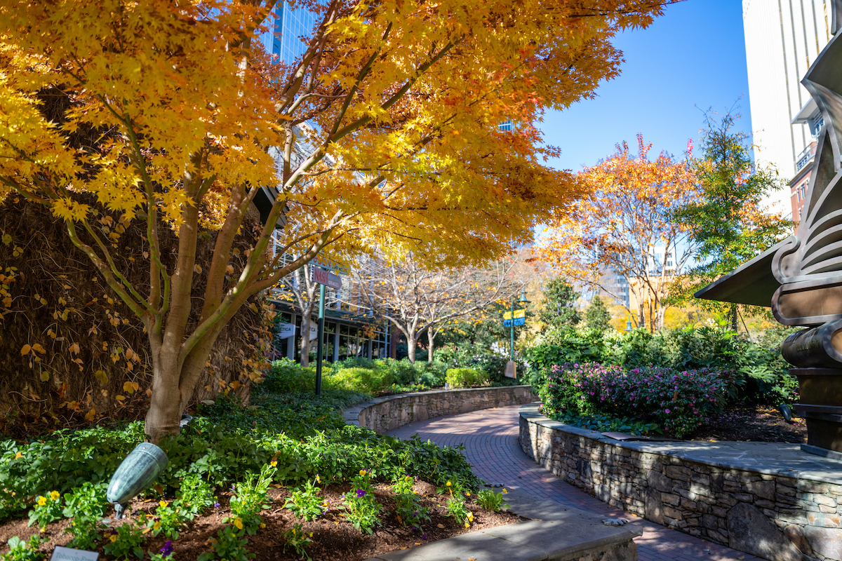 45 Things to Do this Fall in Charlotte