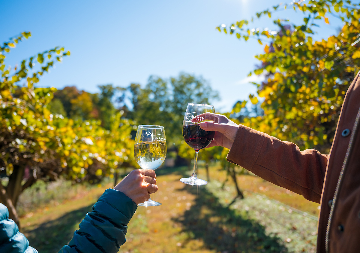 Must-Try Vineyards Near Charlotte