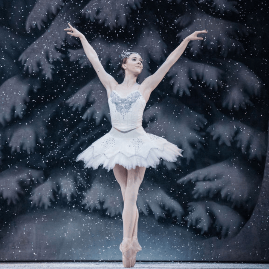 30 Ways to Celebrate the Holidays in Charlotte