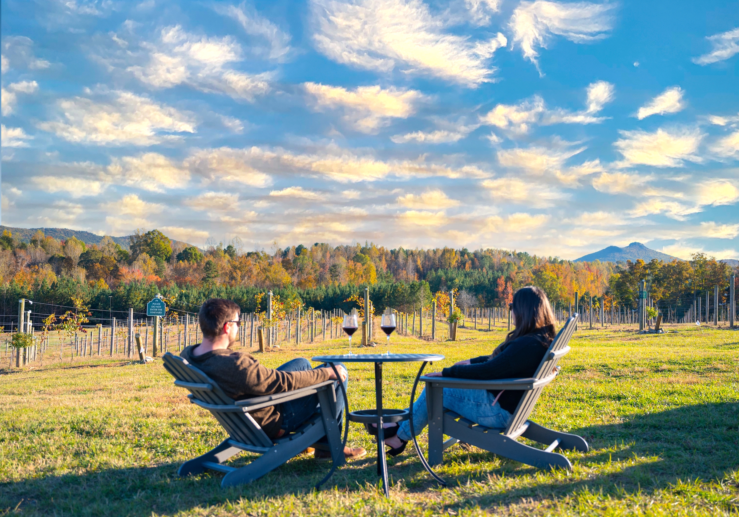 Best Places to Have a Picnic in the Queen City