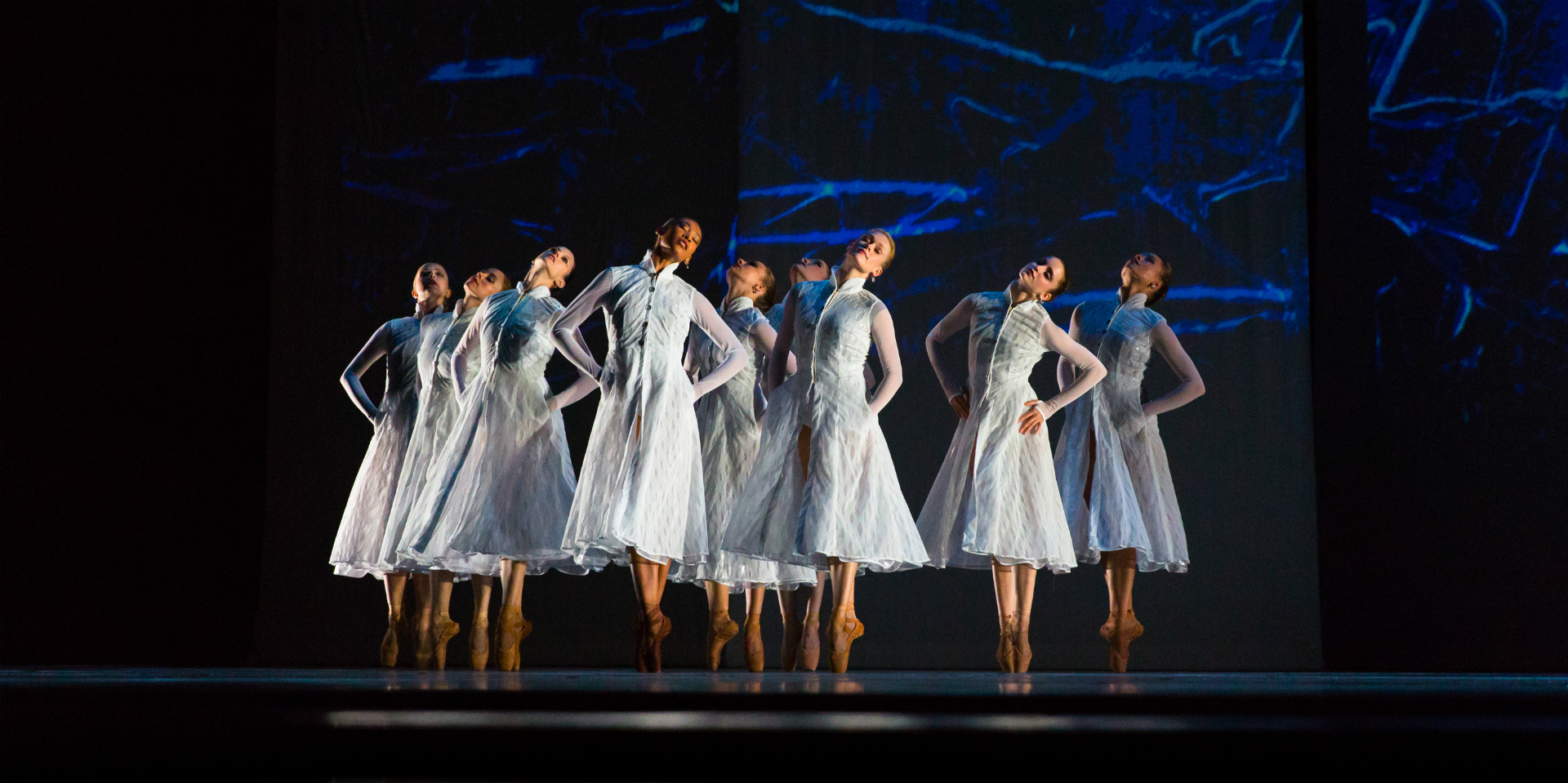 Arts & Culture: The Culture Curious