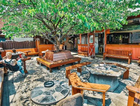 Neighborhood Explorer: Plaza Midwood