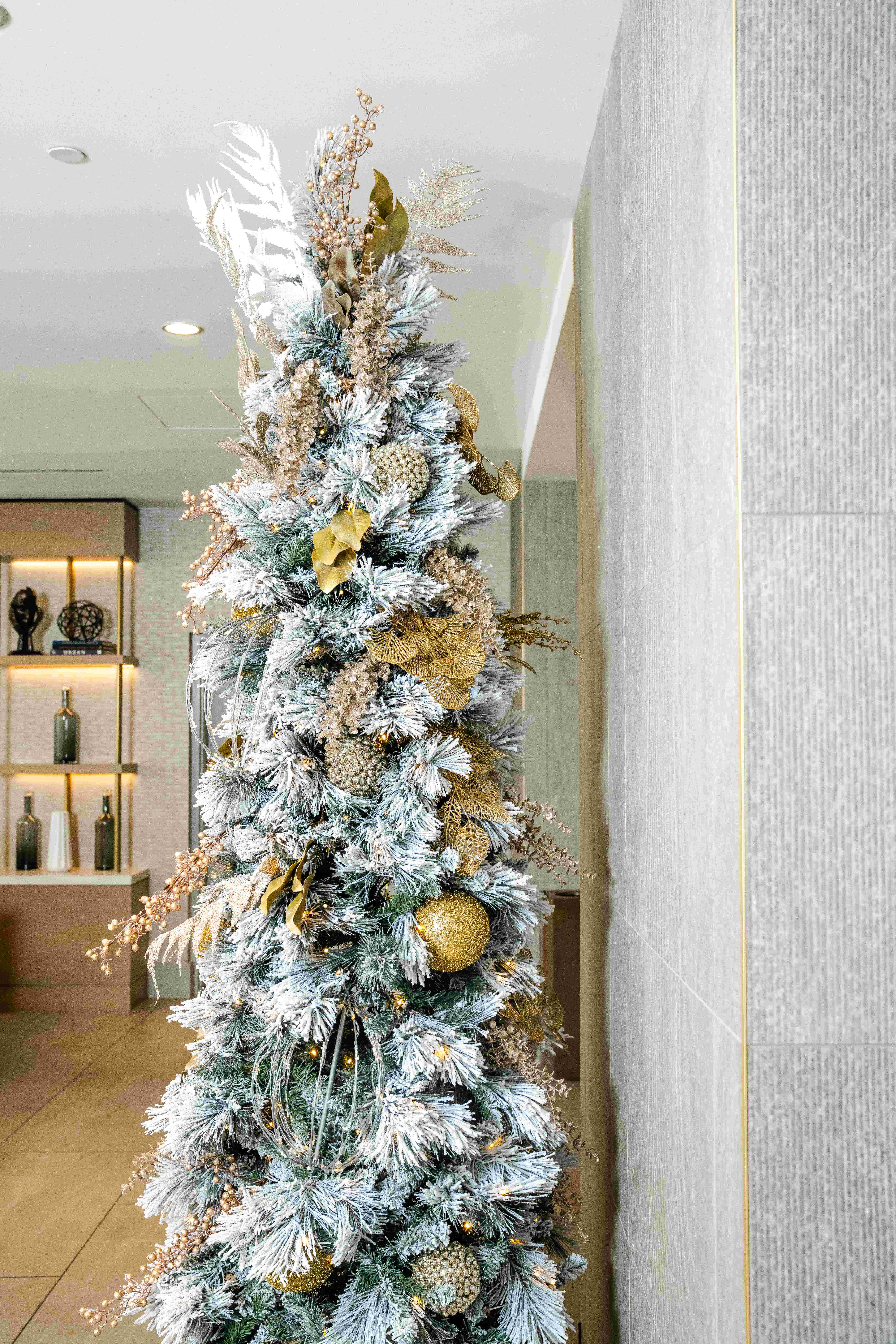 30 Ways to Celebrate the Holidays in Charlotte